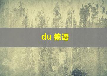 du 德语